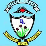 Little Lillys English Public School