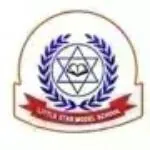 Little Star Model School