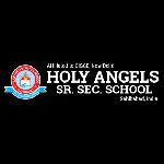Holy Angels' School