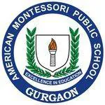 American Public School