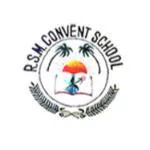 R.S.M Convent School
