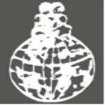 Bhatnagar International Foundation School